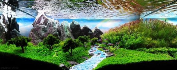 Best Aquarium