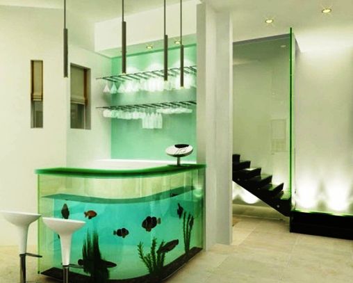 Best Aquarium