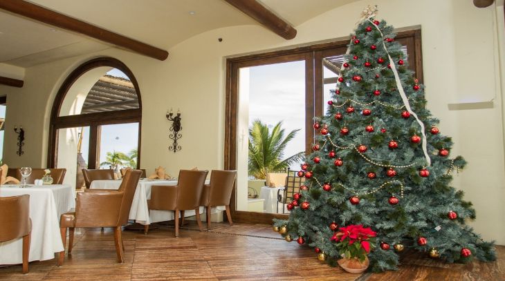 Christmas Design Ideas