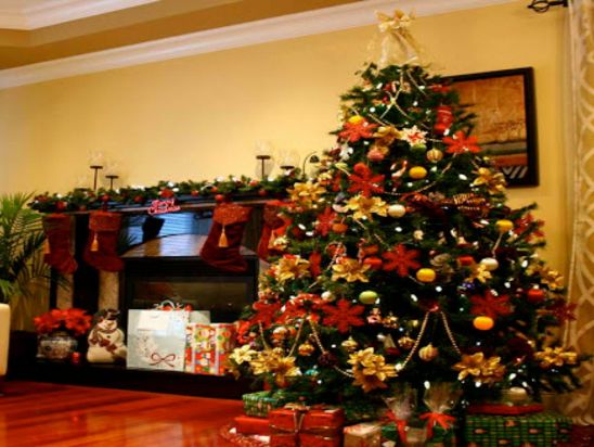 Christmas Design Ideas