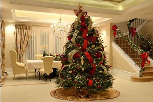 Christmas Design Ideas