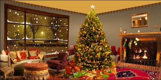 Christmas Design Ideas