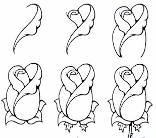 Best easy drawing tutorial