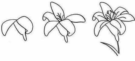 Best easy drawing tutorial