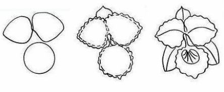 Best easy drawing tutorial
