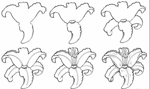 Best easy drawing tutorial
