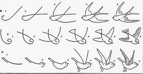 Best easy drawing tutorial