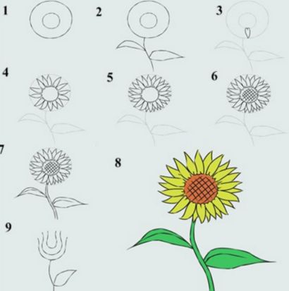 Best easy drawing tutorial