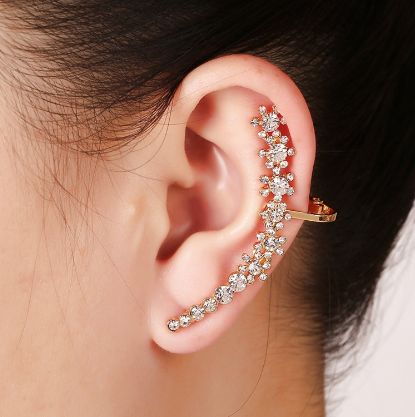 New Fashion Earrings 2018