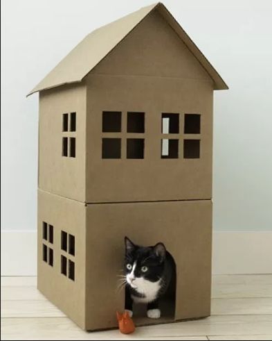 new make cardboard craft