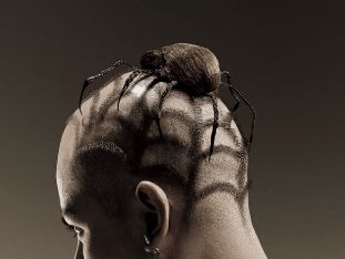 new latest hairstyle stik model