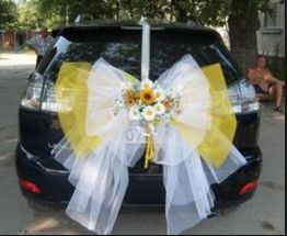 New Wedding Car Design