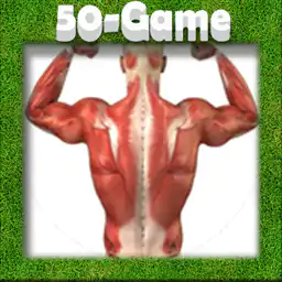 Gabay sa Muscular System
