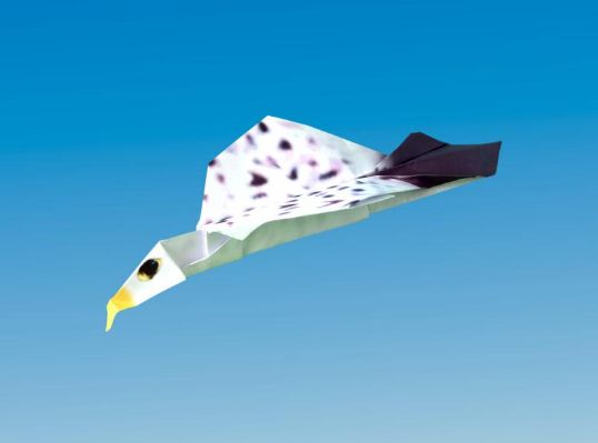 Origami Paper Planes
