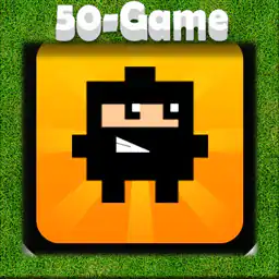 Ninja Block