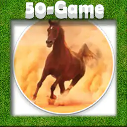 Horse Rider