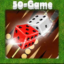 Play Backgammon Game