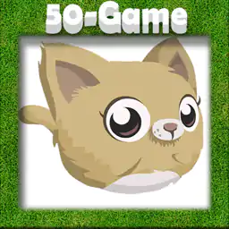 Cat Jump
