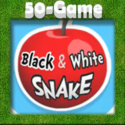 Black & White Snake