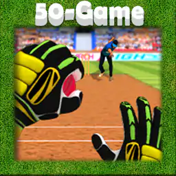 Cricket Fielding Challenge
