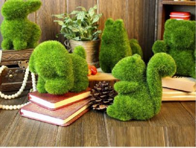 Topiary Garden Ideas