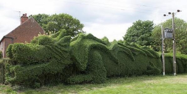 Topiary Garden Ideas