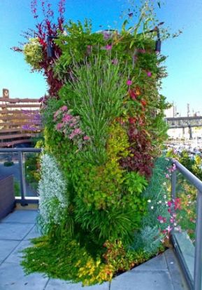 Topiary Garden Ideas