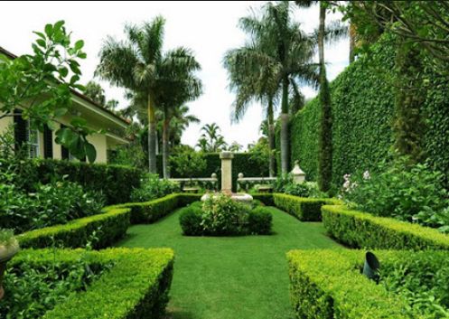 Topiary Garden Ideas