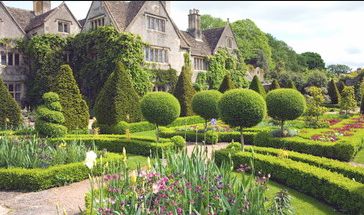Topiary Garden Ideas