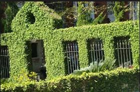 Topiary Garden Ideas