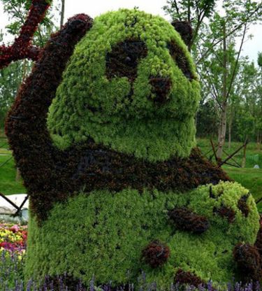Topiary Garden Ideas