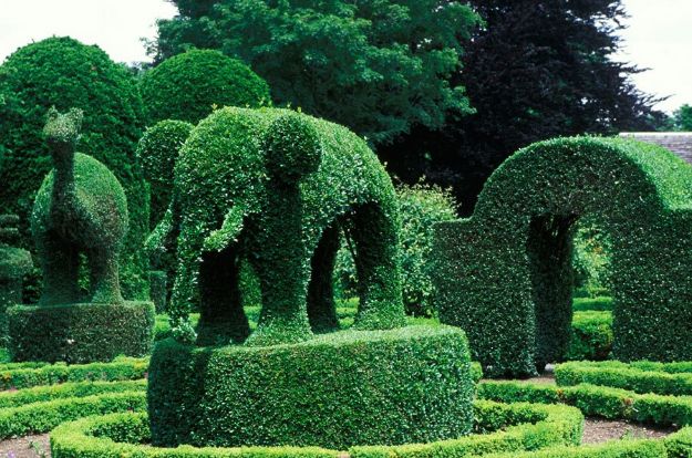 Topiary Garden Ideas
