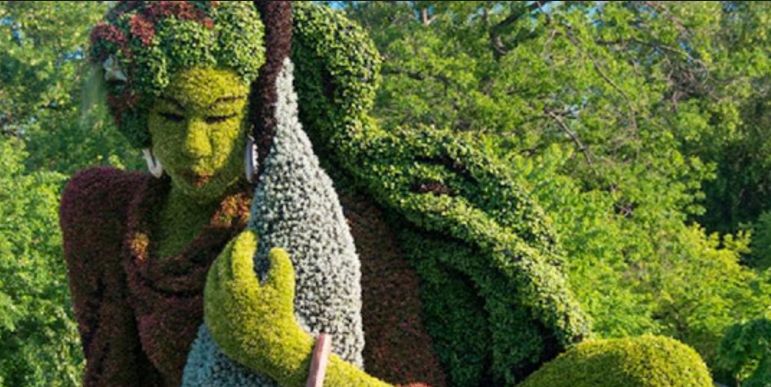 Topiary Garden Ideas