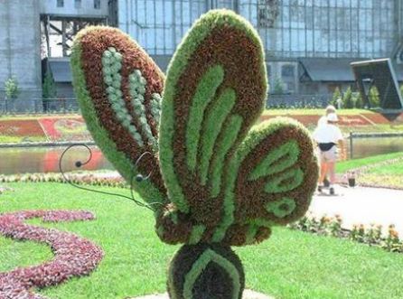 Topiary Garden Ideas
