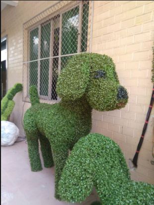 Topiary Garden Ideas