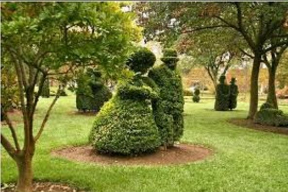 Topiary Garden Ideas