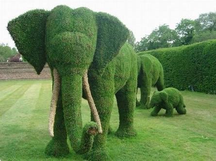 Topiary Garden Ideas