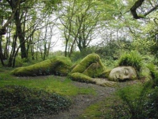 Topiary Garden Ideas