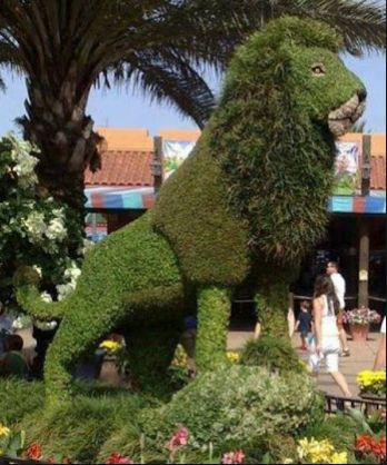 Topiary Garden Ideas