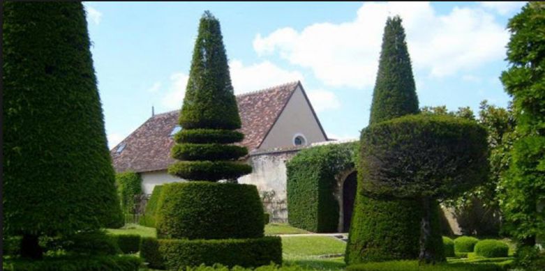 Topiary Garden Ideas