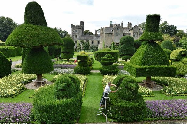 Topiary Garden Ideas