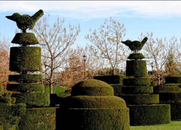 Topiary Garden Ideas