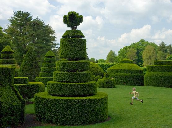 Topiary Garden Ideas