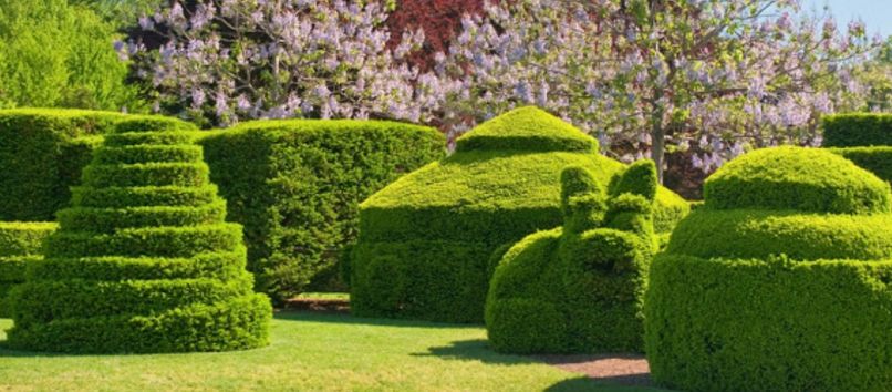 Topiary Garden Ideas