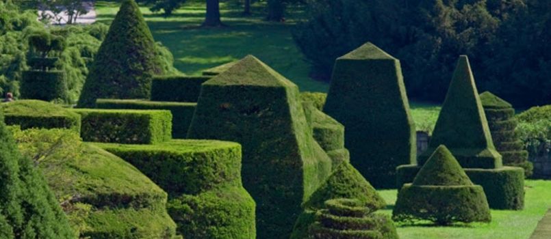 Topiary Garden Ideas