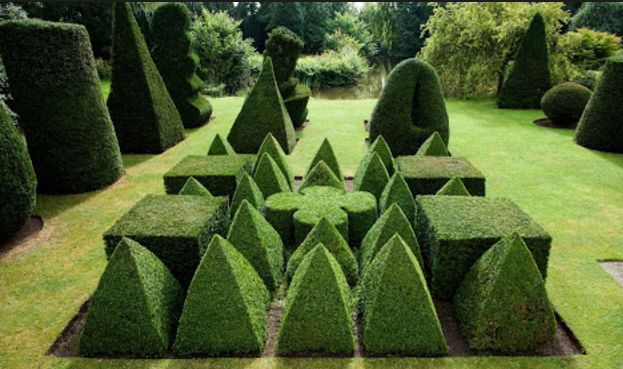 Topiary Garden Ideas