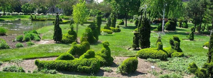 Topiary Garden Ideas