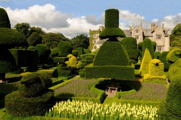 Topiary Garden Ideas