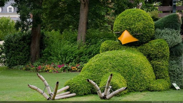 Topiary Garden Ideas