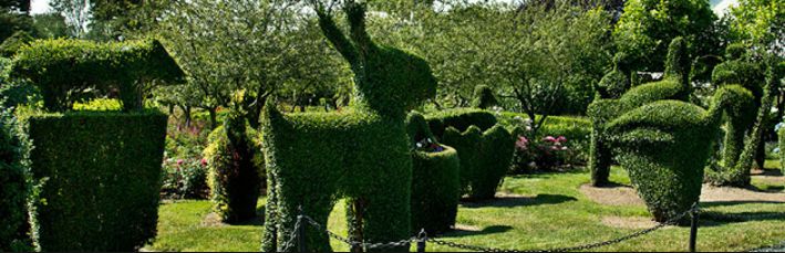 Topiary Garden Ideas